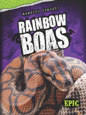 cover image of Rainbow Boas
